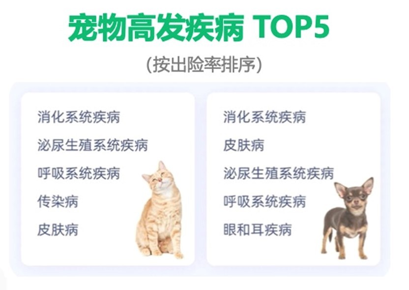 给猫猫狗狗看病平均单次要花2000多！养宠成本怎么缓解？国内首度试水慢病宠物健康管理产品，患病的“毛孩子”也能买保险了