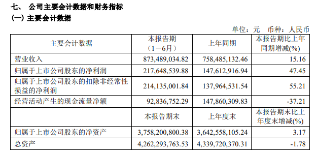 新洁能披露2024年半年报：营收、净利润双增，但IGBT收入同比下降